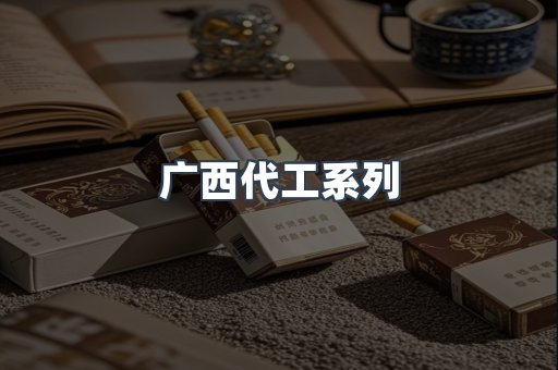 广西代工系列